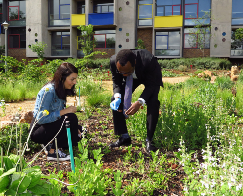 University Vice-Chancellor Participates In A Fungal Citizen Science Project