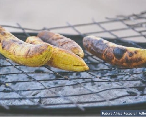 Intersection of food security and water