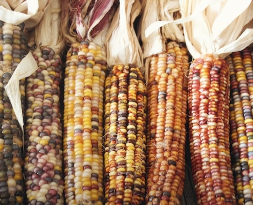 jen-theodore-4ZUo1sS8FyA-unsplash