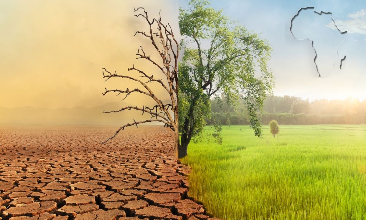 ‘Africa’s climate future depends on homegrown, just solutions’ – experts at a recent Future Africa panel discussion