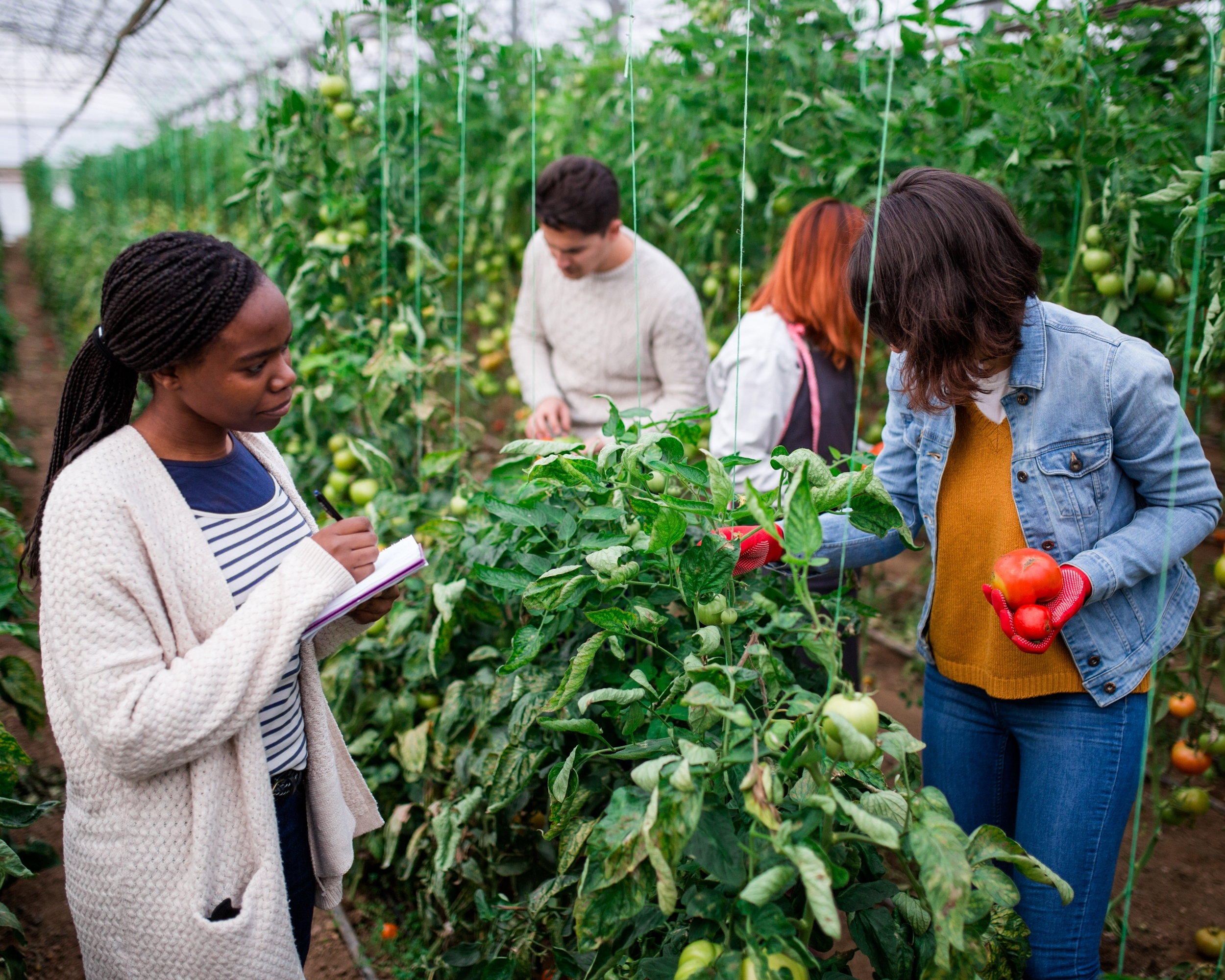 New generation of scientists needed for Africa’s food systems, says Future Africa experts