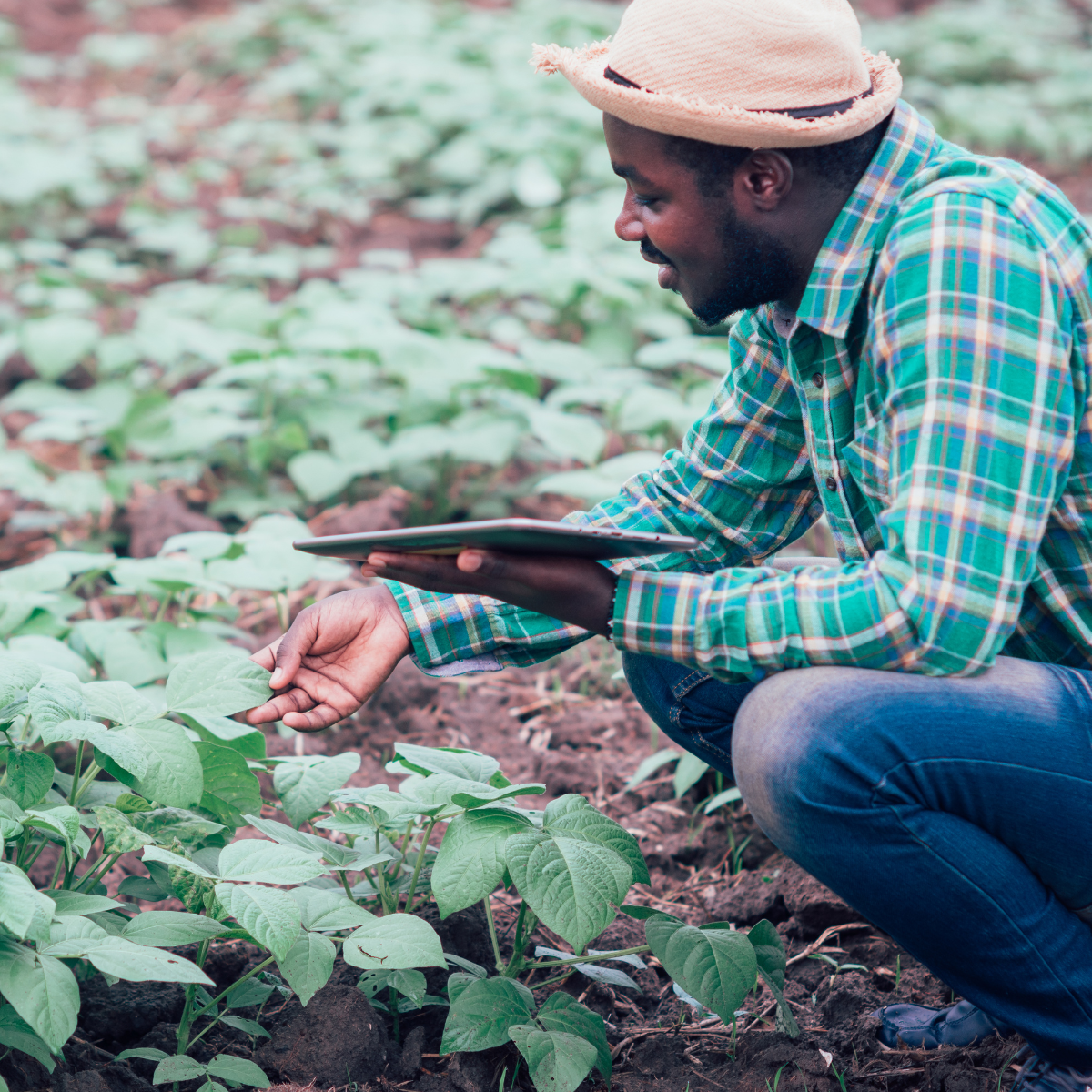 Call for Applications: PhD scholarship grants 2026 (UKUDLA)