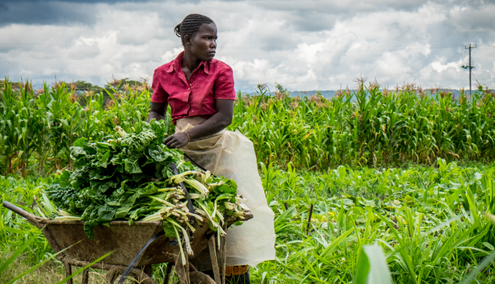 Female Farmer in Africa