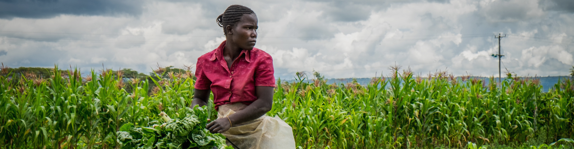 Banner Transdisciplinary (TD) Dialogue Home Banner (1920 x 560 px) (2)